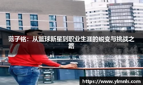 jn江南·体育登录入口