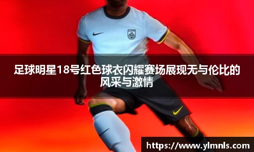 jn江南·体育登录入口